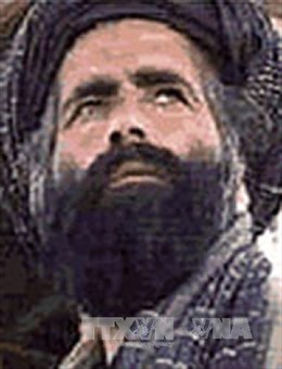 Al-Qaeda thề trung thành với tân thủ lĩnh Taliban